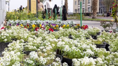صورة جامعة الكفيل تنظّم معرضًا لنباتات الزينة مع قُدُوم موسم الربيع